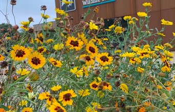 Nature Discovery Centre at Langdon