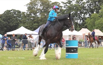 Essex Country Show