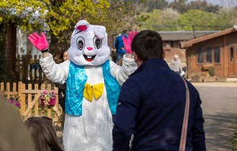 Easter Weekend