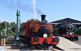 New Years Day Steam Train Rides