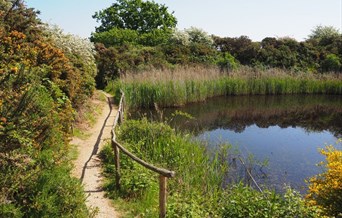 Fingringhoe Trail Crossword