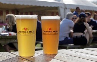 Beer Festival