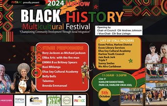 Black History Multicultural Festival