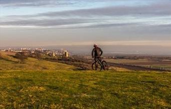 Hadleigh Castle