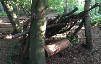 A den built from wood in High Woods Country Park