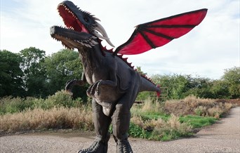 Day of the Dragon