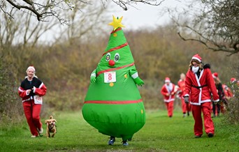 Festive Fun Day