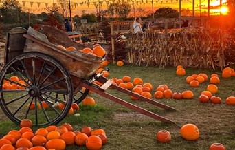 Pumpkin Village