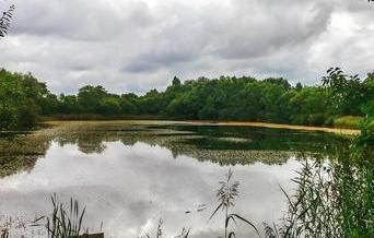 River Ter Fish Ponds