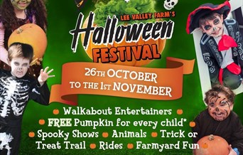 Halloween Festival