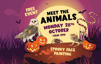 Meet the Animals