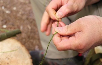 Bushcraft Workshop