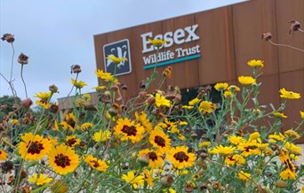 Nature Discovery Centre at Langdon