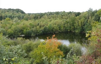 Chafford Gorges Nature Park Walk