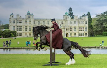 Victorian Horses of Audley End