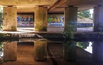 Under Chelmer bridge