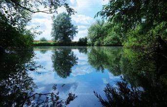 Henham Reservoir