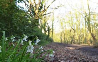 Poors Lane Bridleway