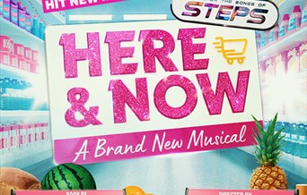 Here & Now - The Steps Musical