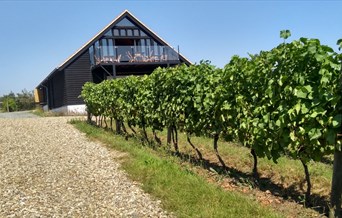 Clayhill Vineyard