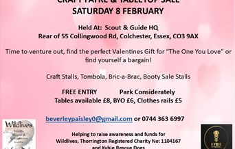 CRAFT FAYRE & TABLETOP SALE INDOOR