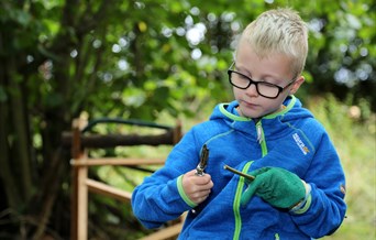 Belfairs Viking Adventure