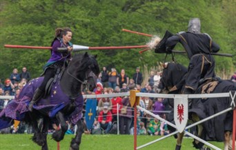 Knights of Albion Joust