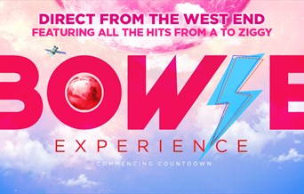 Bowie Experience