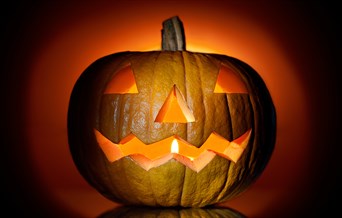Bedfords Pumpkin Carving
