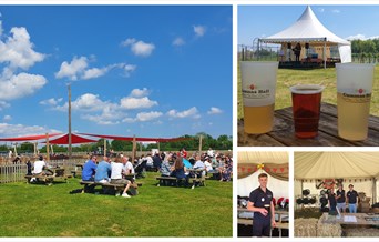 Beer Festival