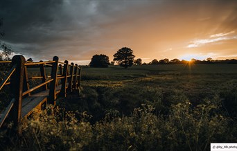 Billericay fields at sunset