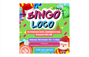 Bingo Loco - Xmas Party