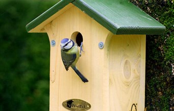 Wilder Communities: Nest Box Making for Adults and Community Groups