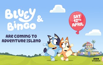 Bluey & Bingo Come to Visit!