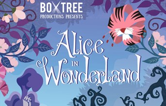 Alice in Wonderland with Boxtree Productions