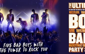 The Ultimate Boyband Party Show