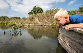 Easter Holidays Pond Dipping