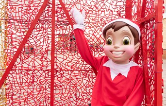 Elf Hunt at Braintree Village