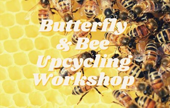 Picture of bees with text saying 'Butterfly & Bee Upcycling Workshop' overlaid