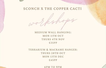 Sconch x The Copper Cacti Macramé and Terrarium Workshops