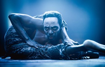 Circus of Horrors -Dr Haze's Cabaret of Curiosities