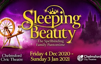 Sleeping Beauty Pantomime