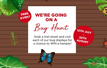 We're Going on a Bug Hunt!