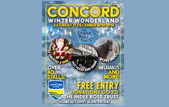 Concord Winter Wonderland