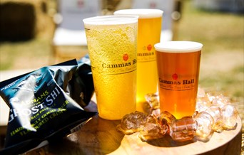 Beer Festival