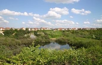 Chafford Gorges Nature Park