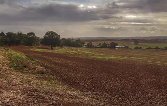 Saffron Trail Stage 5 – Chelmer Village to Battlesbridge