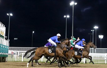 Chelmsford City Racecourse