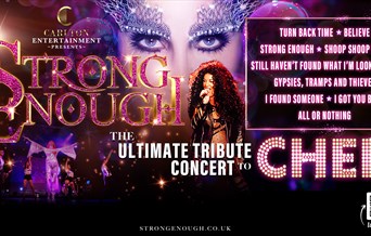 Strong Enough: The Ultimate Cher Tribute