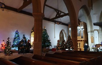 Christmas Tree Festival